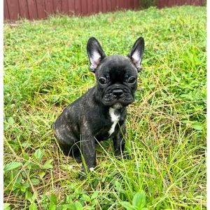 Meet your Posher, Callen